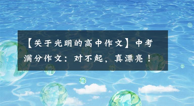 【关于光明的高中作文】中考满分作文:对不起,真漂亮!(在黑暗中寻找光明)