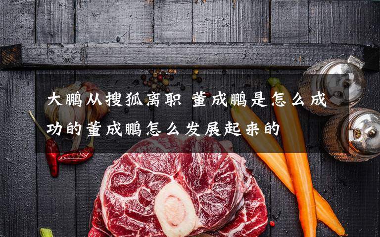 大鹏从搜狐离职 董成鹏是怎么成功的董成鹏怎么发展起来的