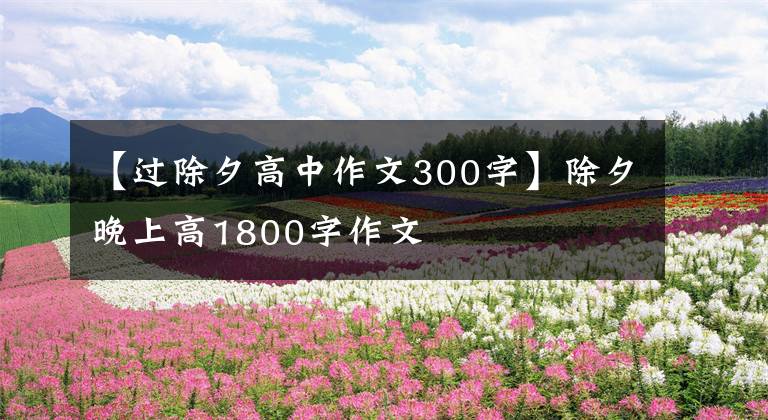 【过除夕高中作文300字】除夕晚上高1800字作文