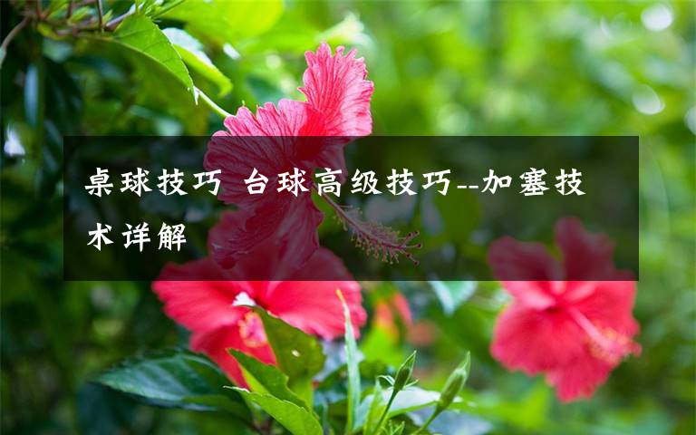 桌球技巧 台球高级技巧--加塞技术详解