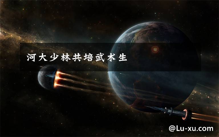 河大少林共培武术生