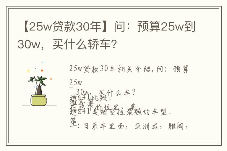 【25w贷款30年】问:预算25w到30w,买什么轿车?