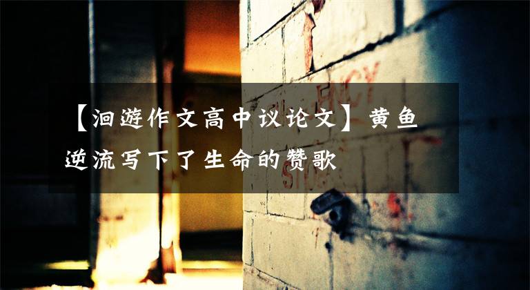 【洄游作文高中议论文】黄鱼逆流写下了生命的赞歌