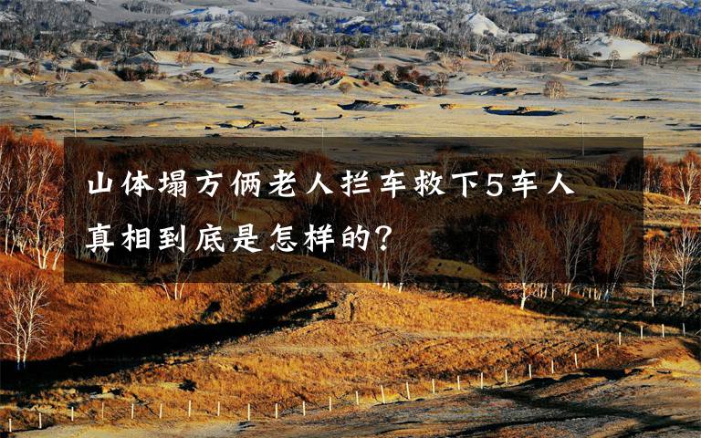 山体塌方俩老人拦车救下5车人 真相到底是怎样的?