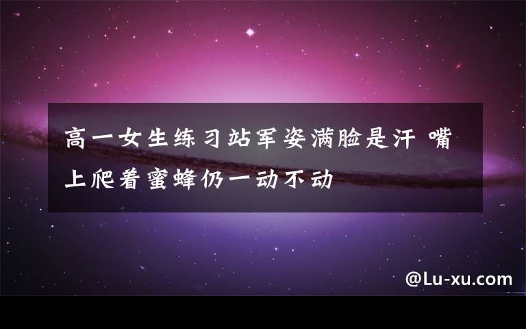 高一女生练习站军姿满脸是汗 嘴上爬着蜜蜂仍一动不动