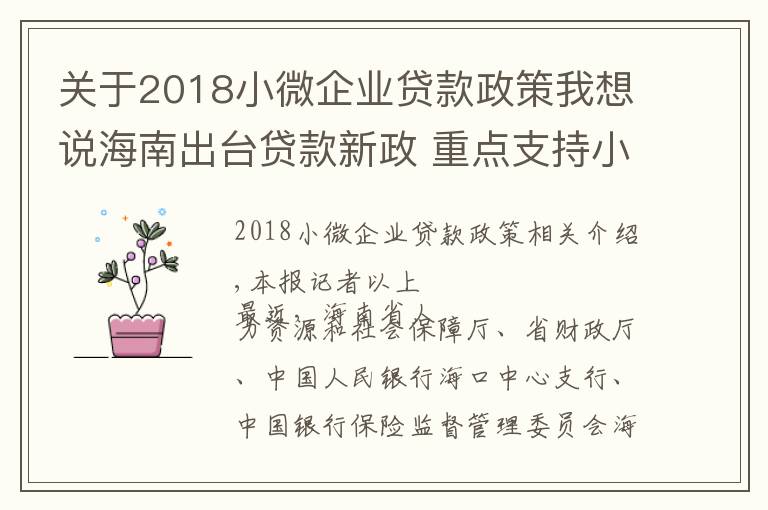 关于2018小微企业贷款政策我想说海南出台贷款新政 重点支持小微企业