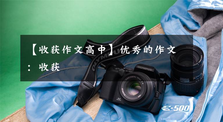【收获作文高中】优秀的作文：收获