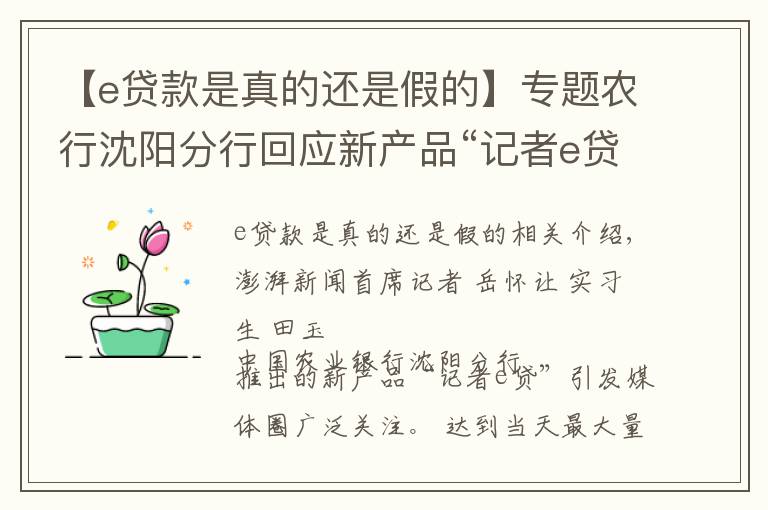 【e贷款是真的还是假的】专题农行沈阳分行回应新产品“记者e贷”：需要单位申请