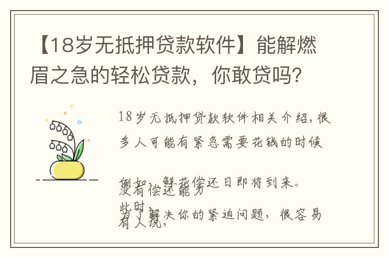 【18岁无抵押贷款软件】能解燃眉之急的轻松贷款,你敢贷吗?