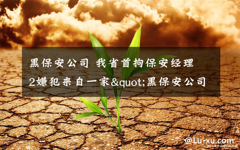 黑保安公司 我省首拘保安经理 2嫌犯来自一家"黑保安公司"