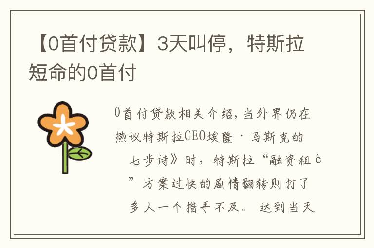 【0首付贷款】3天叫停,特斯拉短命的0首付