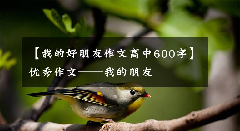 【我的好朋友作文高中600字】优秀作文——我的朋友