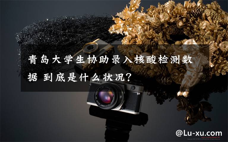 青岛大学生协助录入核酸检测数据 到底是什么状况?