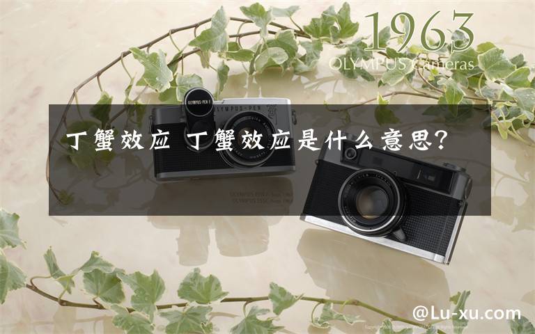 丁蟹效应 丁蟹效应是什么意思?