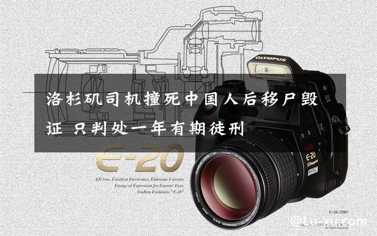 洛杉矶司机撞死中国人后移尸毁证 只判处一年有期徒刑