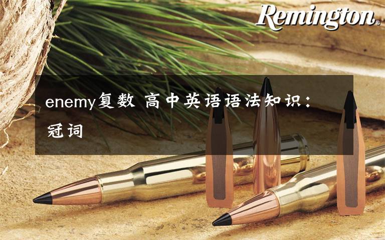 enemy复数 高中英语语法知识:冠词