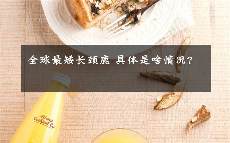 全球最矮长颈鹿 具体是啥情况?