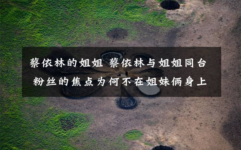 蔡依林的姐姐 蔡依林与姐姐同台 粉丝的焦点为何不在姐妹俩身上?