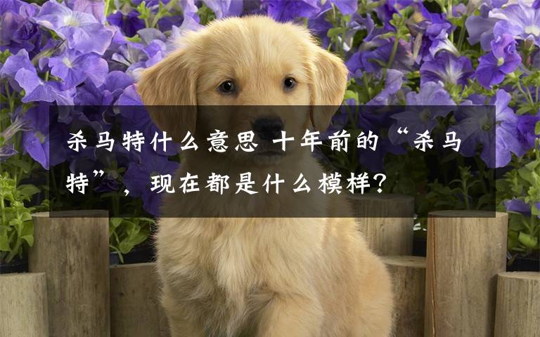 杀马特什么意思 十年前的“杀马特”,现在都是什么模样?