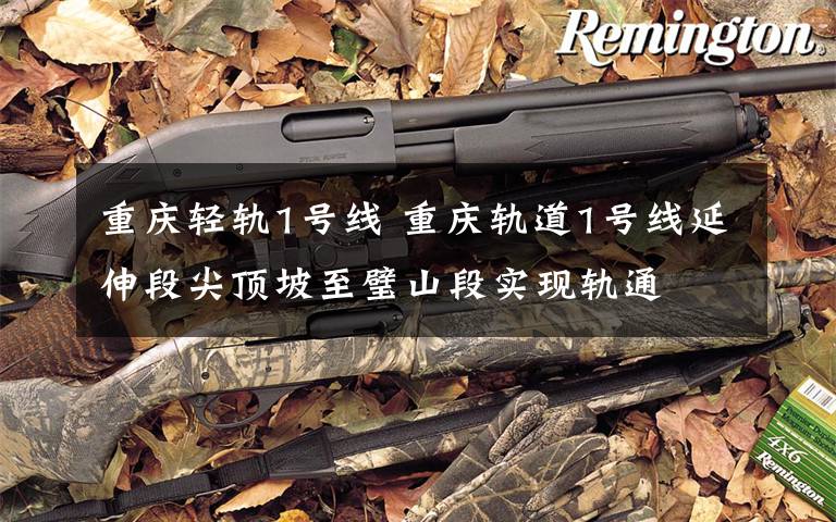 重庆轻轨1号线 重庆轨道1号线延伸段尖顶坡至璧山段实现轨通