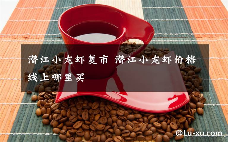 潜江小龙虾复市 潜江小龙虾价格线上哪里买