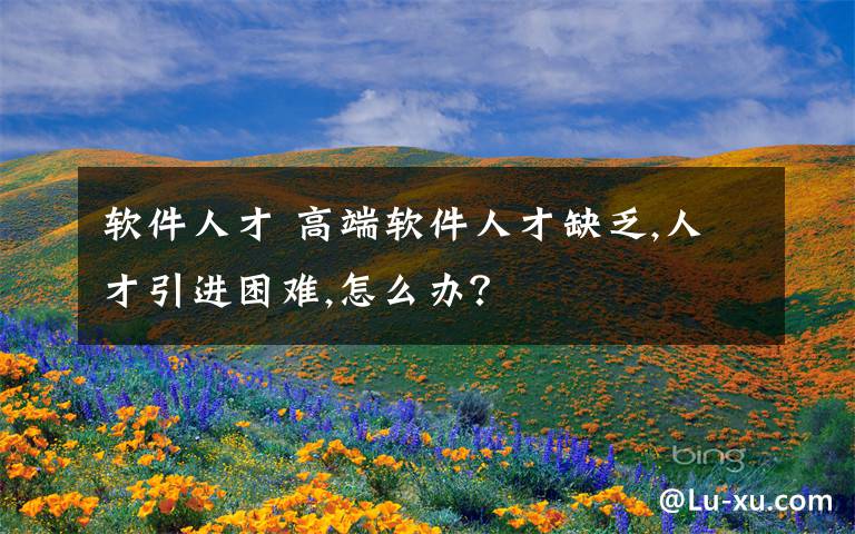 软件人才 高端软件人才缺乏,人才引进困难,怎么办?