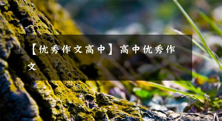 【优秀作文高中】高中优秀作文