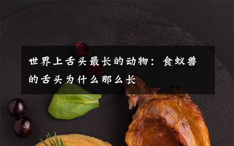 世界上舌头最长的动物：食蚁兽的舌头为什么那么长