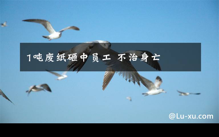 1吨废纸砸中员工 不治身亡