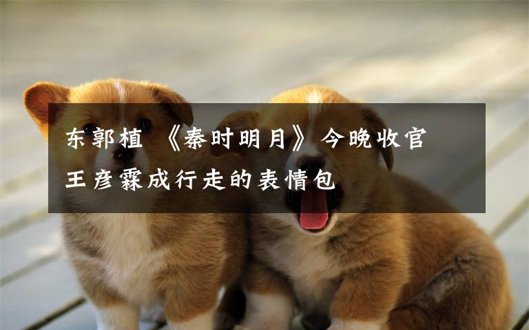 东郭植 《秦时明月》今晚收官 王彦霖成行走的表情包