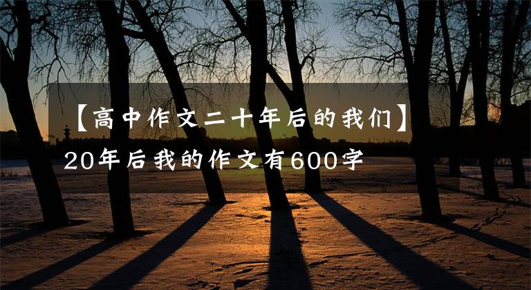 【高中作文二十年后的我们】20年后我的作文有600字