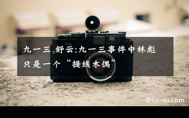 九一三 舒云:九一三事件中林彪只是一个“提线木偶”