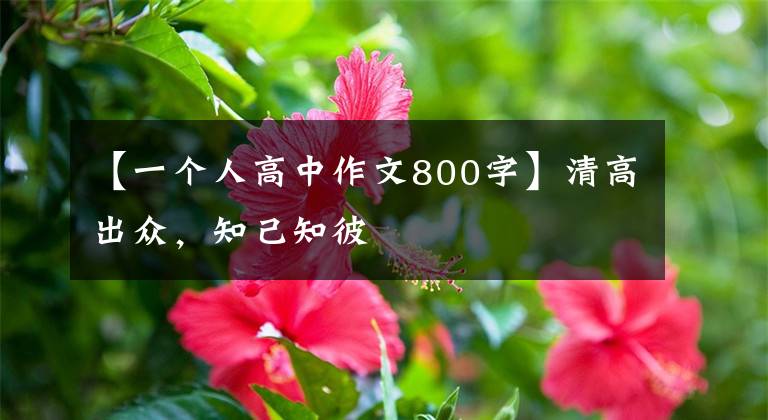 【一个人高中作文800字】清高出众，知己知彼