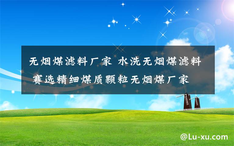 无烟煤滤料厂家 水洗无烟煤滤料 赛选精细煤质颗粒无烟煤厂家