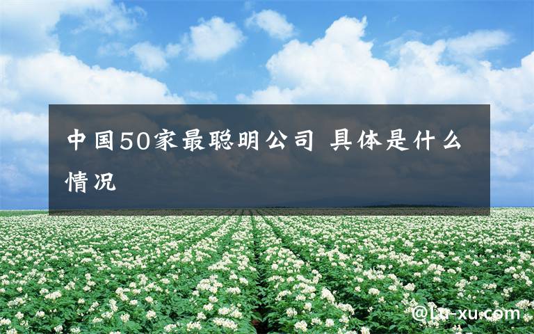 中国50家最聪明公司 具体是什么情况