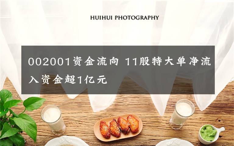 002001资金流向 11股特大单净流入资金超1亿元