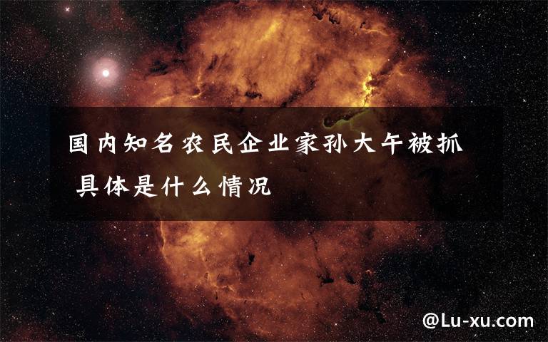 国内知名农民企业家孙大午被抓 具体是什么情况