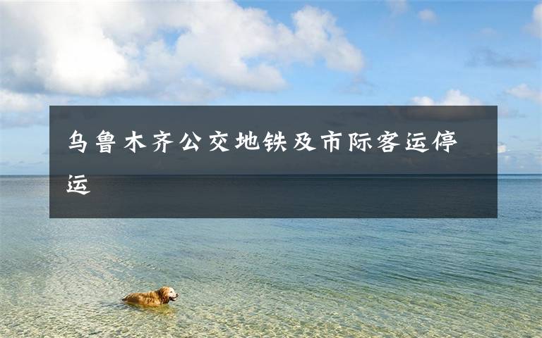 乌鲁木齐公交地铁及市际客运停运