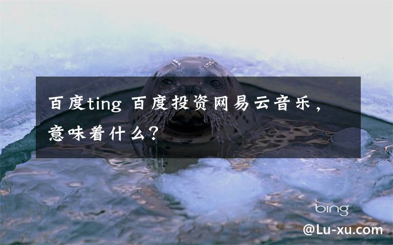 百度ting 百度投资网易云音乐，意味着什么？