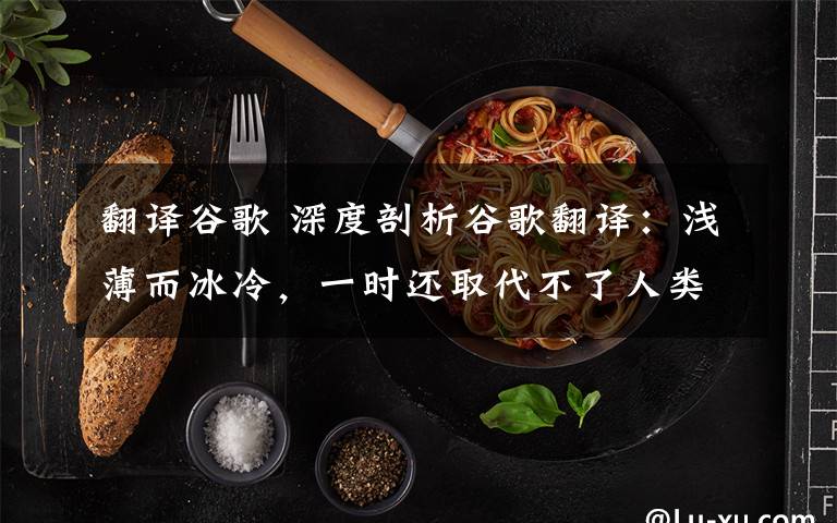 翻译谷歌 深度剖析谷歌翻译：浅薄而冰冷，一时还取代不了人类译员
