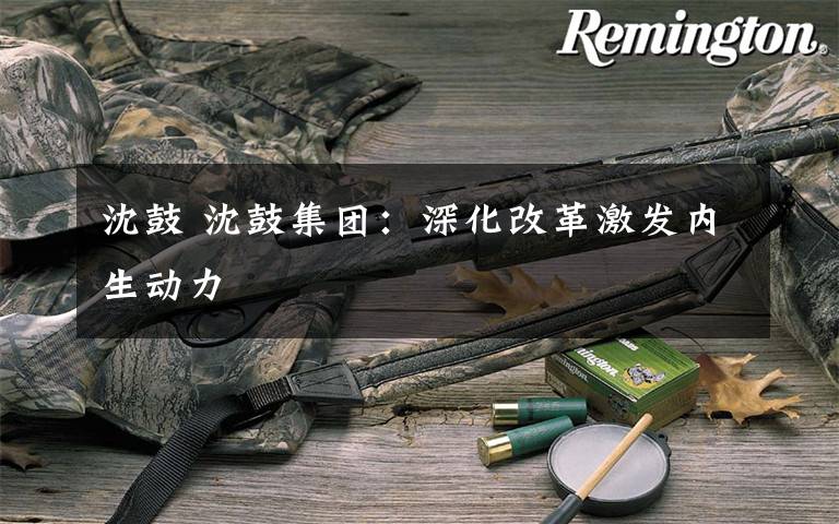 沈鼓 沈鼓集团:深化改革激发内生动力