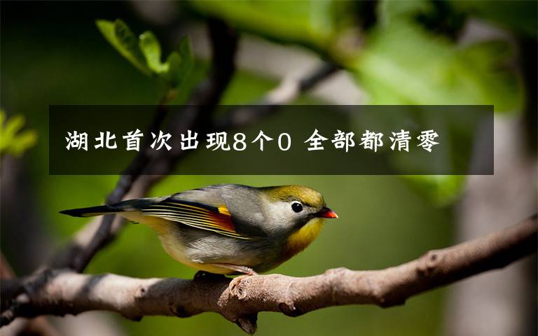 湖北首次出现8个0 全部都清零