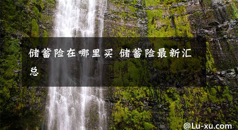 储蓄险在哪里买 储蓄险最新汇总