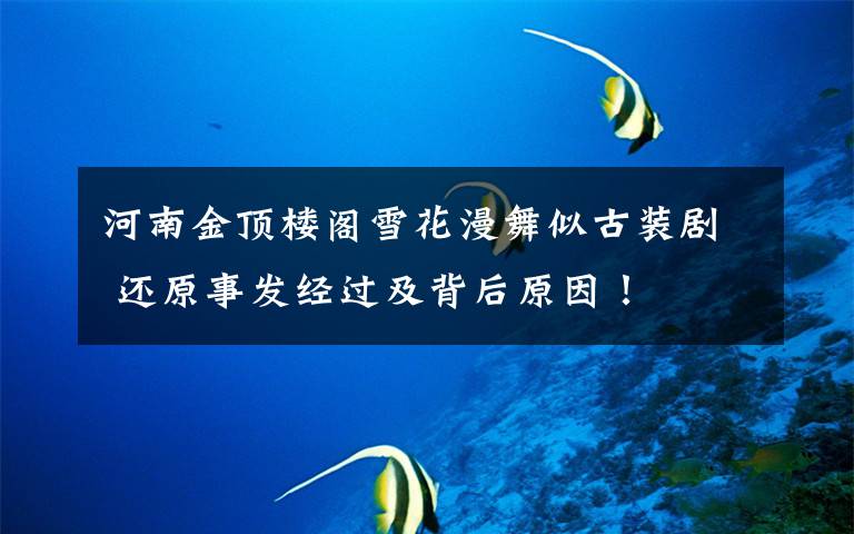 河南金顶楼阁雪花漫舞似古装剧 还原事发经过及背后原因!