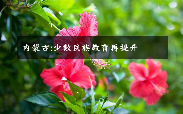 内蒙古:少数民族教育再提升