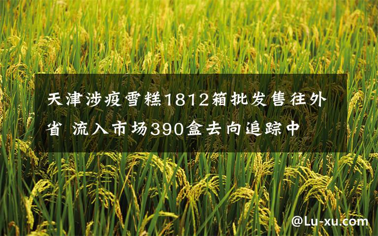 天津涉疫雪糕1812箱批发售往外省 流入市场390盒去向追踪中