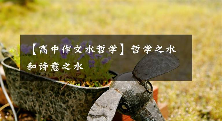 【高中作文水哲学】哲学之水和诗意之水