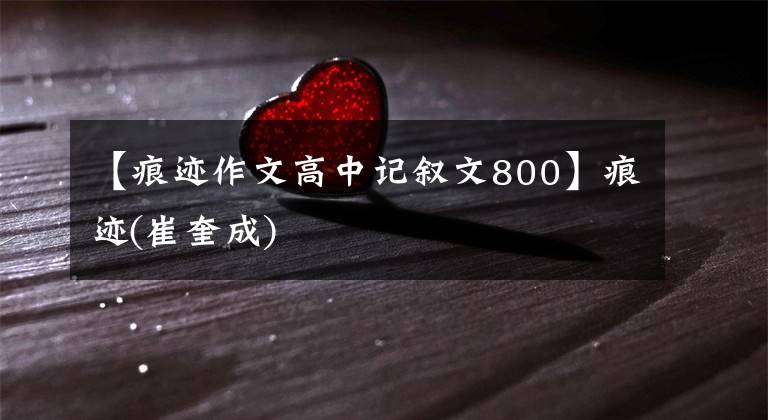 【痕迹作文高中记叙文800】痕迹(崔奎成)