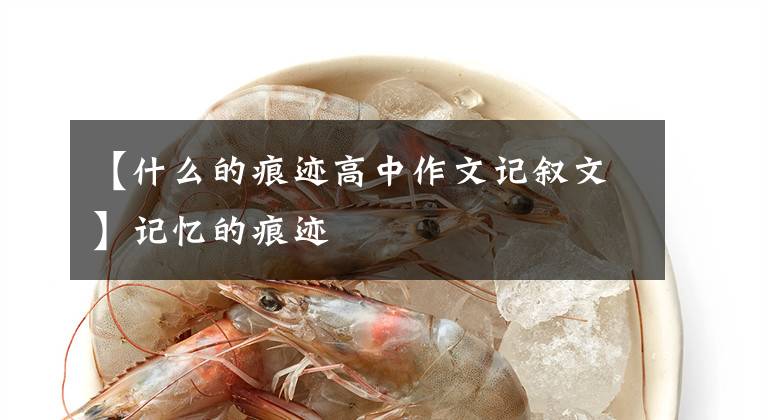 【什么的痕迹高中作文记叙文】记忆的痕迹