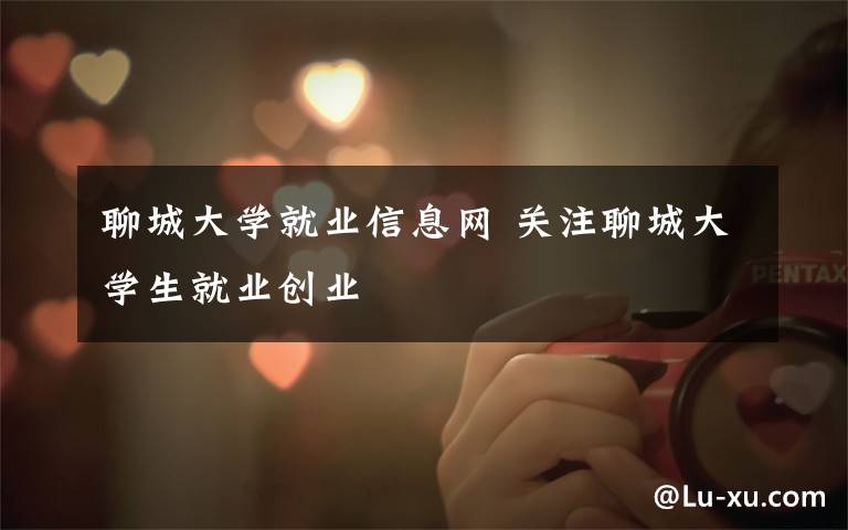 聊城大学就业信息网 关注聊城大学生就业创业